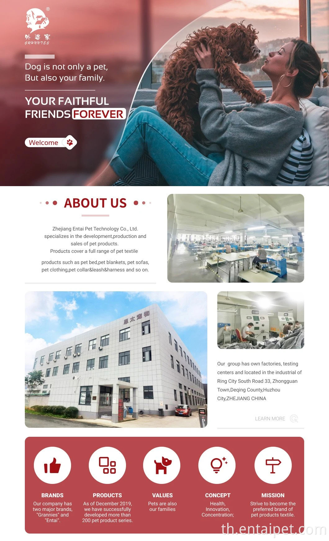 สุนัขสามเหลี่ยมสีสันสดใสแมวอ่อนตัวเล็กสุนัขเตียงสุนัขเต็นท์